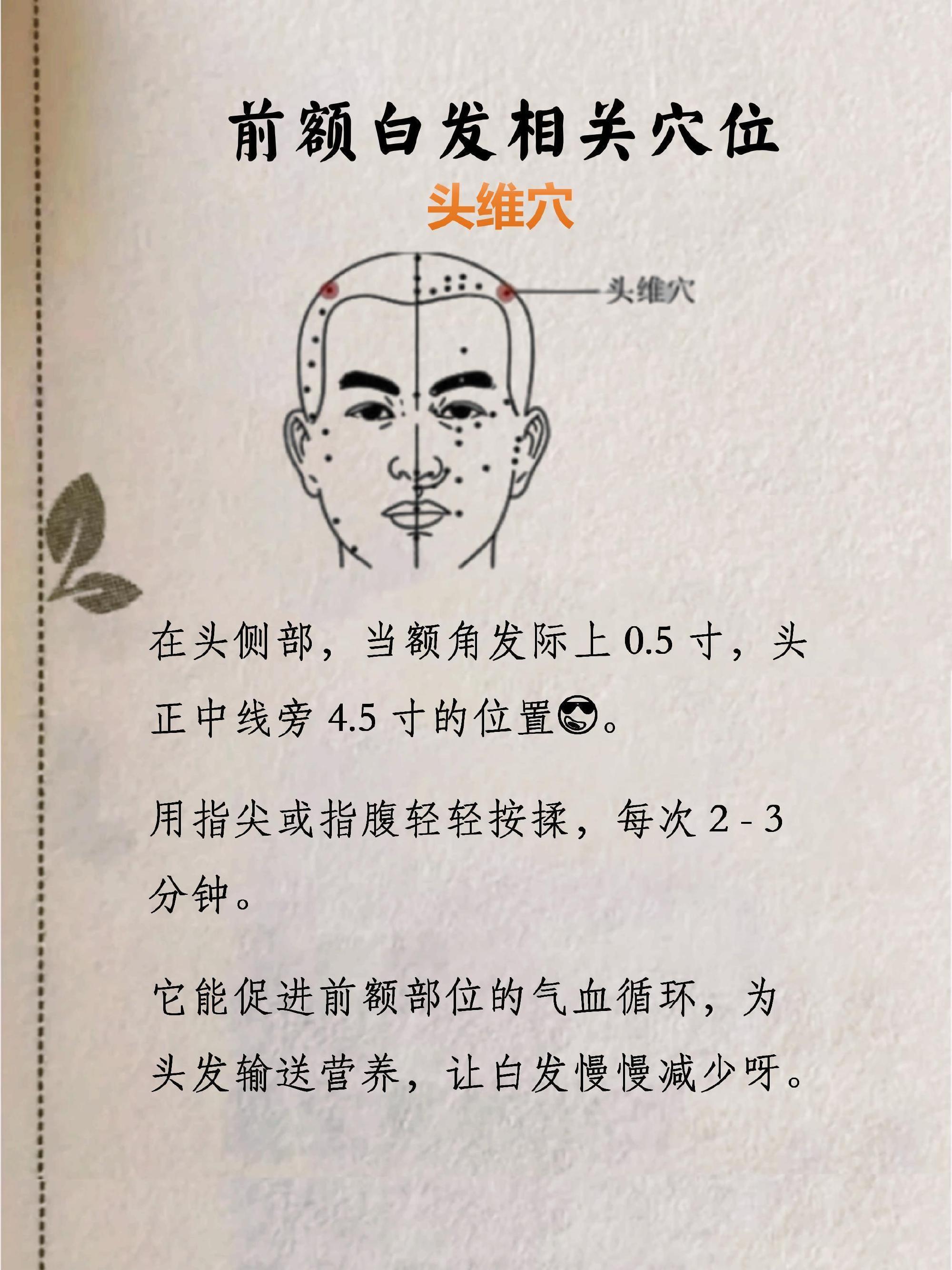 人体自带的黑发穴大揭秘