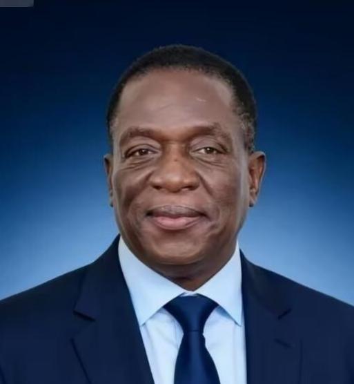 前脚巴拿马不顾中方反对，强行接管了巴拿马港口，后脚津巴布韦突然宣布暂停锂矿出口。