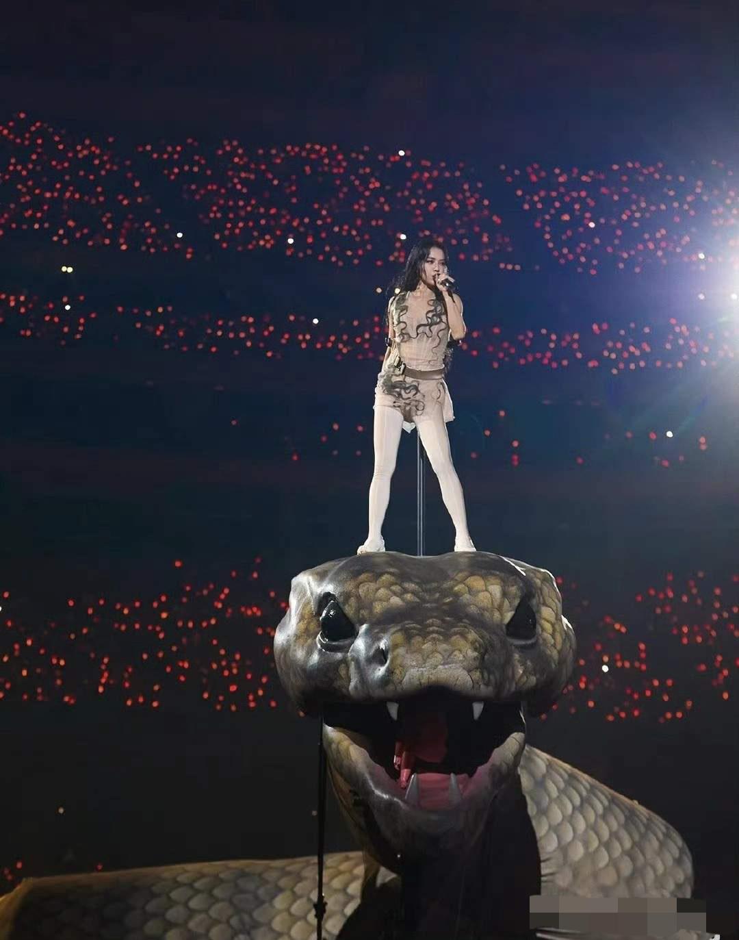 蔡依林啊，你还是长点心吧，演唱会非得搞得如此的花里胡哨，本想着趁这个机会让自己火