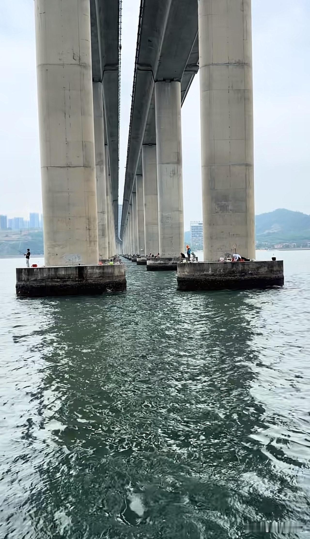 一入鱼圈深似海野生钓鱼佬钓鱼佬聚集地惠州