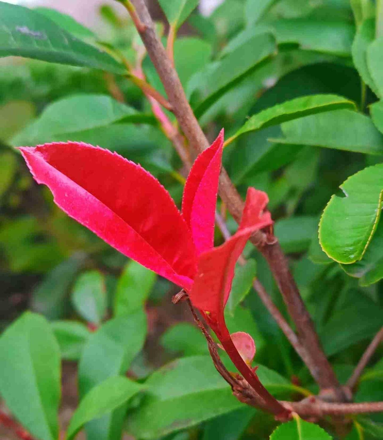 谁说大龄女生结婚难？真相是，年龄根本不是问题！同学的女儿今年36岁，前阵子刚刚