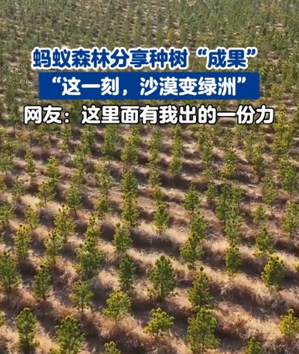 9年种树6.19亿棵，蚂蚁森林累计种植面积相当于半个乌兰布和沙漠！ 大家还记