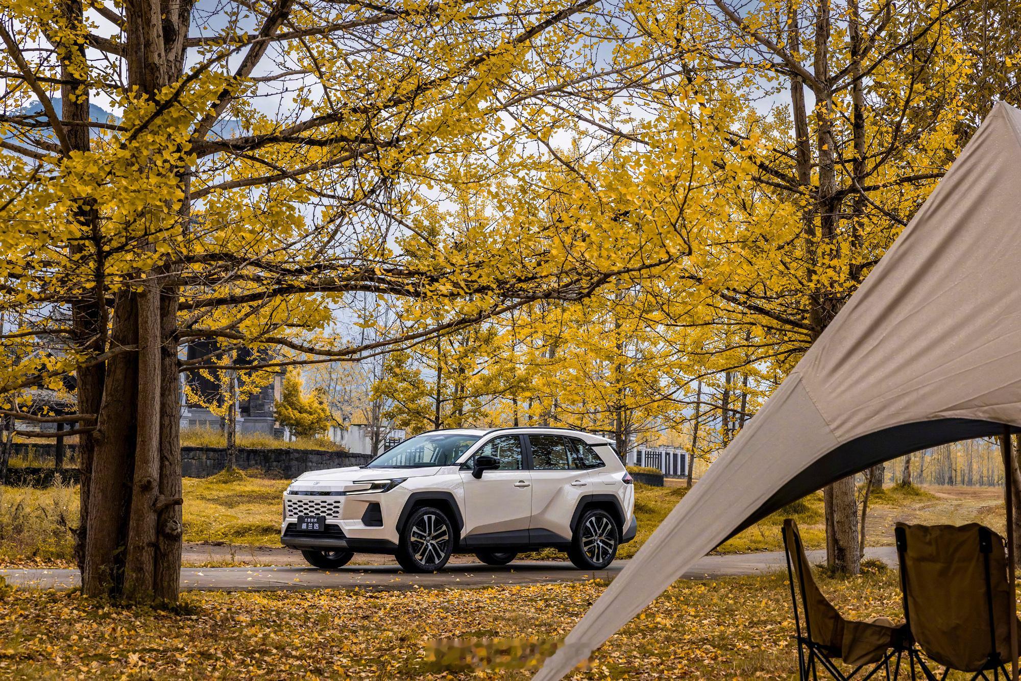 14万级全新威兰达到店同样14万元左右的预算，全新换代威兰达综合能力是要比某些同