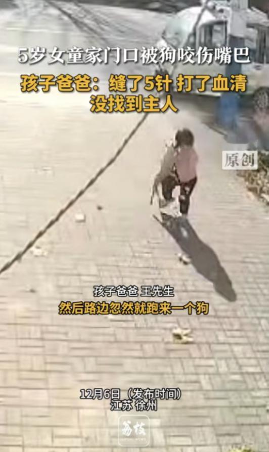 “严查到底！”近日，江苏徐州，一女孩在家门口玩耍，路边忽然跑来一条狗，将小女孩嘴
