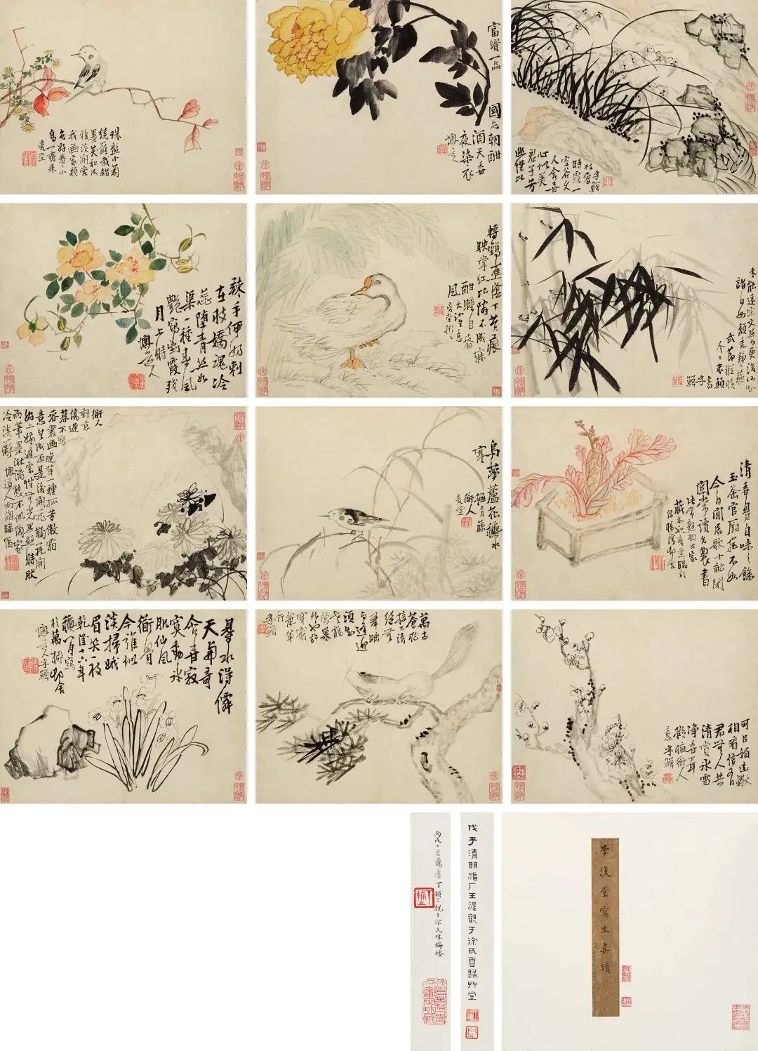 李鱓:花卉册 乾隆十六年