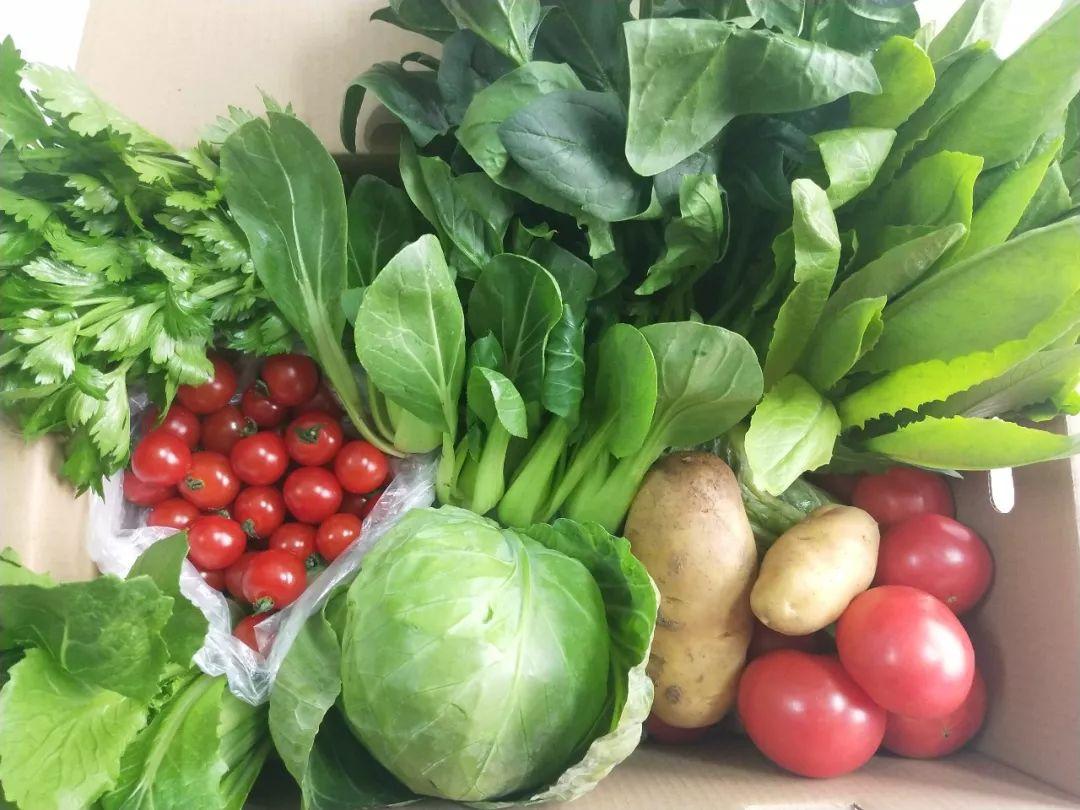 泡过福尔马林的食物，一般有2个特点，买菜注意，别买错了买菜的时候，总会遇到