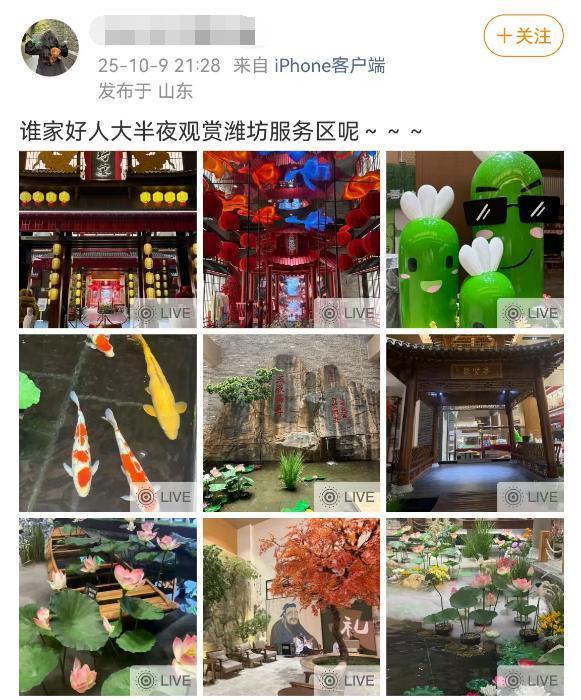 山东一座高速服务区意外“出圈”，成为比热门景区还要热闹的存在。这座名为潍坊西的