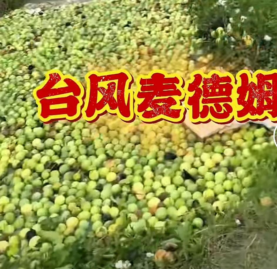 家人们，来说一个减少损失的方法。是这样的:近几天，台风过境，广东、广西、海南部