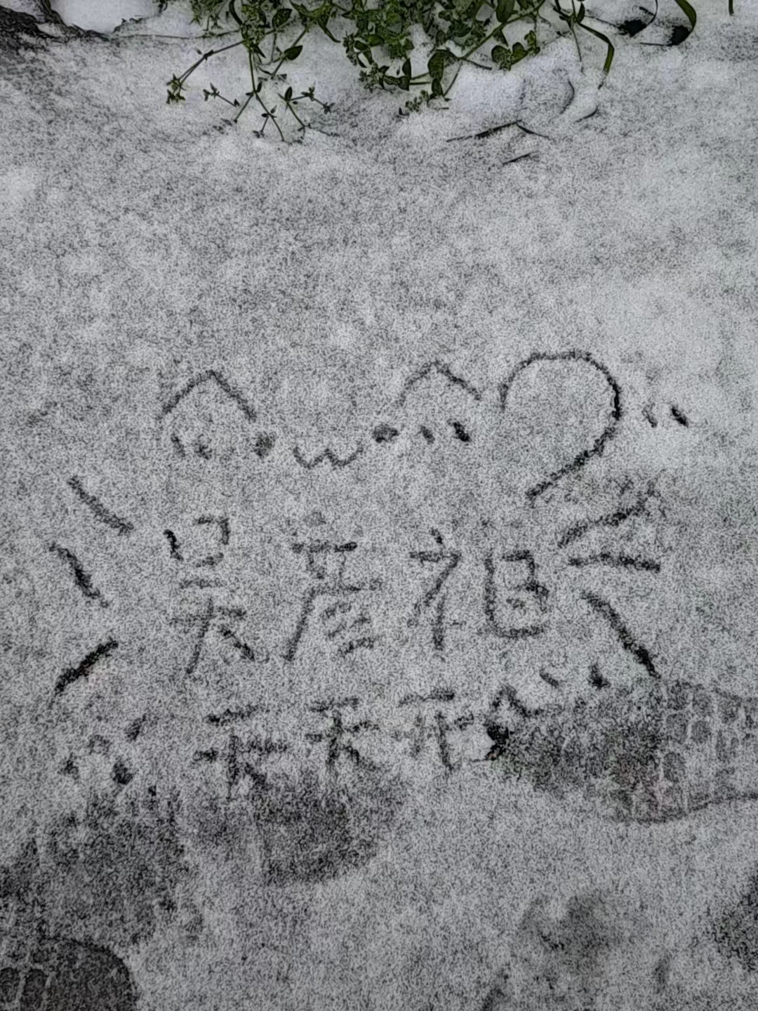 谢谢妈妈帮我实现粤犬吠雪的愿望