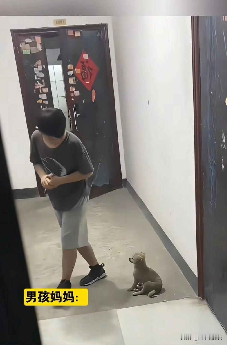 小孩放学时带回一只流浪小狗，担心家人不同意，便先跑进去通报。没想到家人十分赞同，