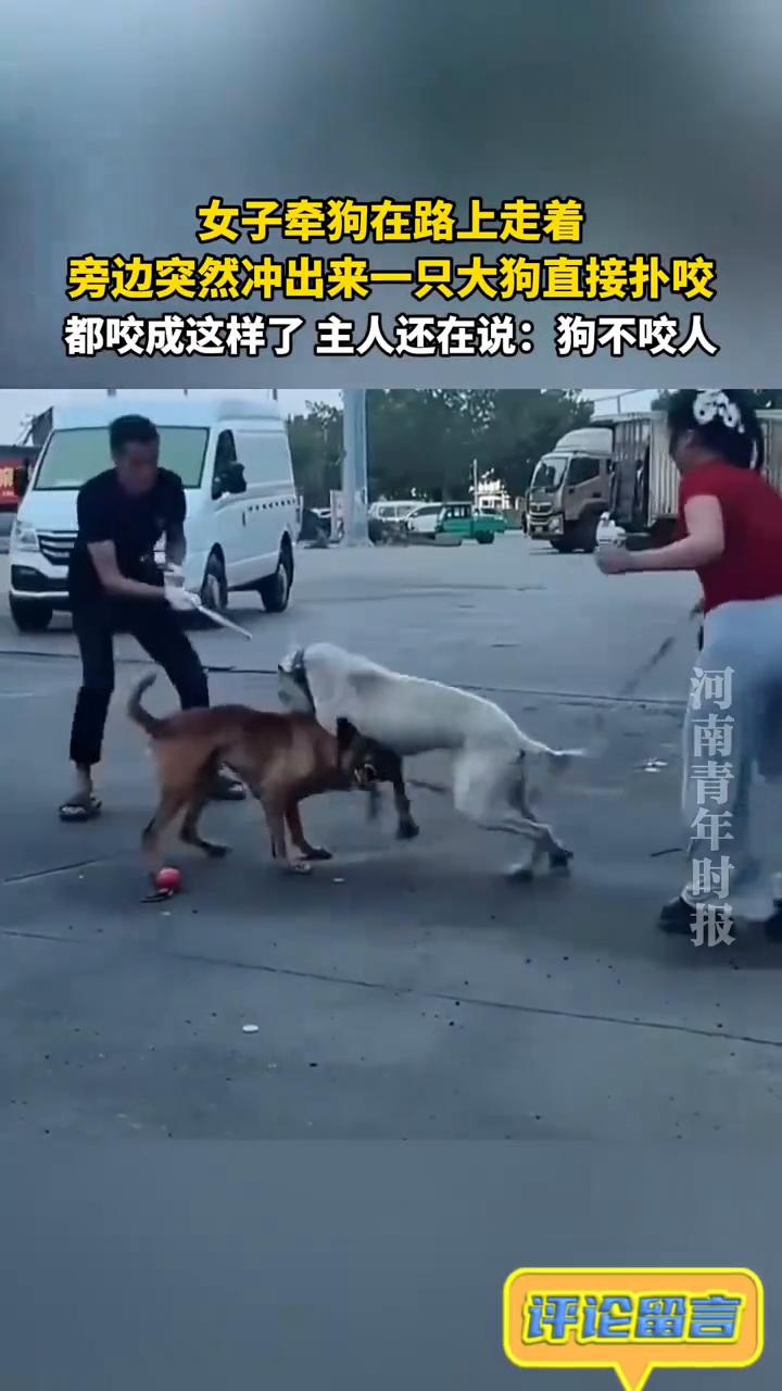 女子牵狗在路上走着，旁边突然冲出来一只大狗直接扑咬，都咬成这样了主人还在说：狗不
