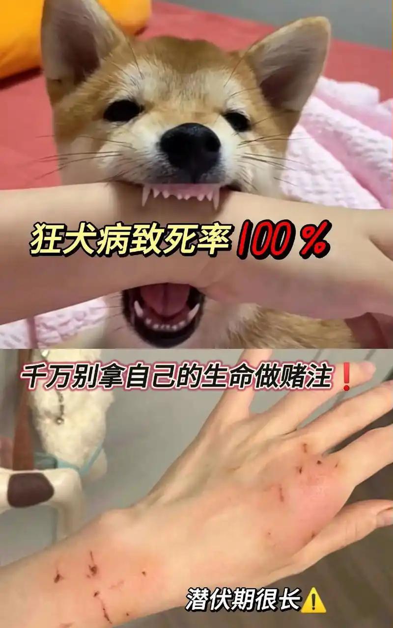 19世纪，人们用通红的烙铁烫在疯狗咬过的伤口上治疗狂犬病，巴斯德亲眼目睹后，找来