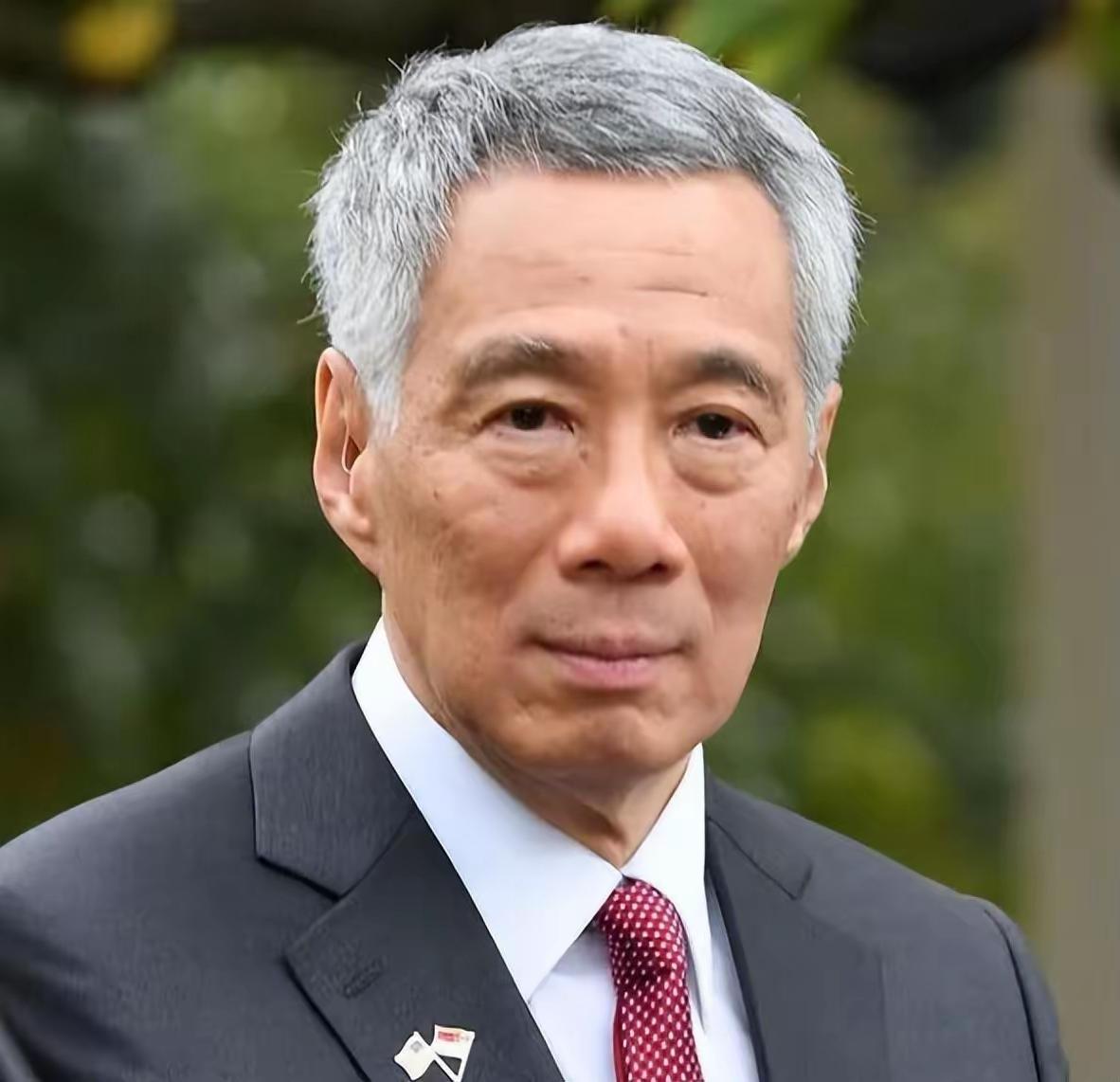 李显龙表示，真正的新加坡人要认清一个事实，新加坡不是华人国家，只是华人占多数而已