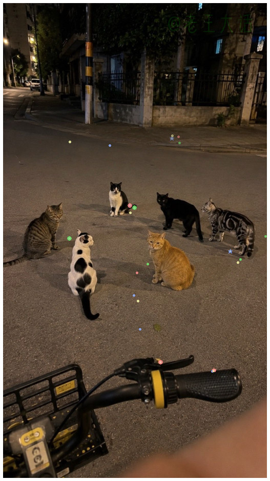 小猫开圆桌会议