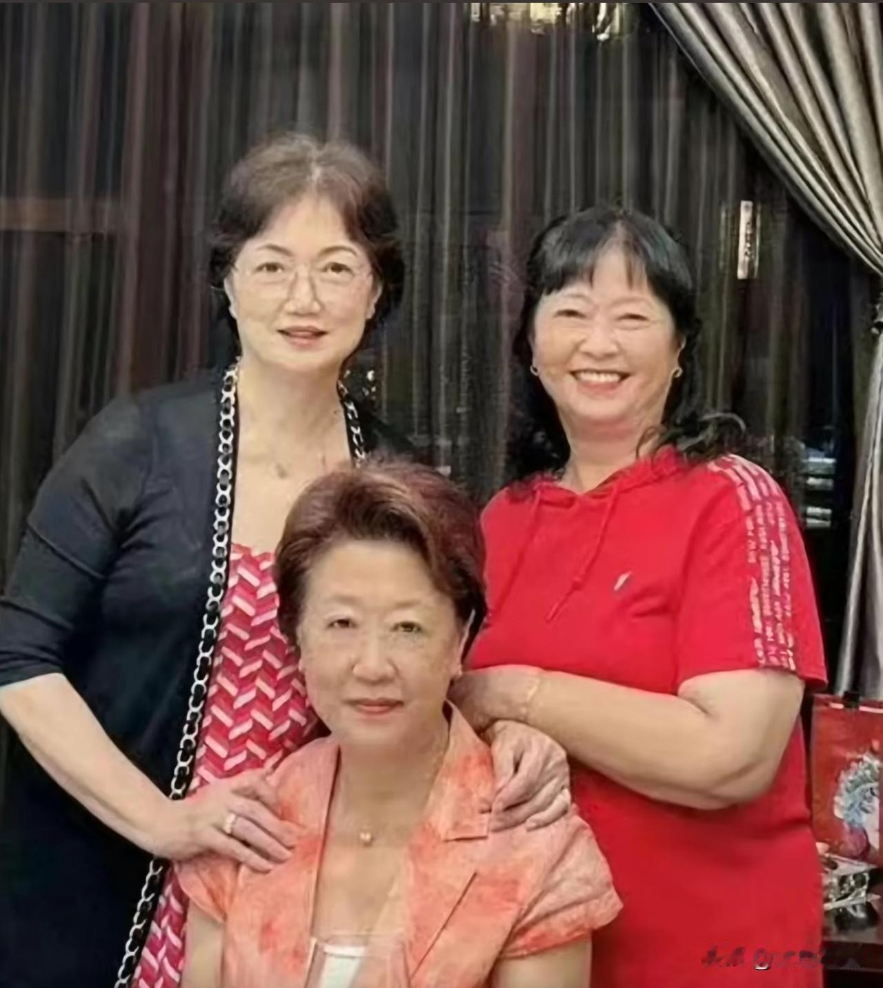 庞家后人庞叔令三姐妹的一张合影。三姐妹乃庞莱臣曾孙女、庞增和之女，是南浔“四象”