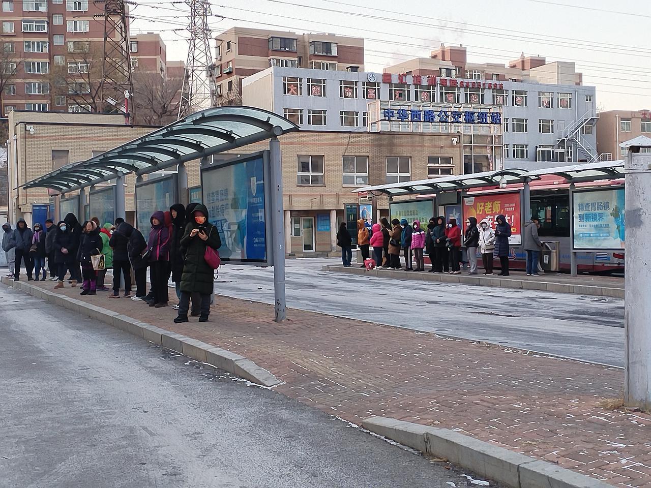 我爱我的家乡大连，更爱这些可亲可爱的大连人。在寒冷的冬季，每每看到人们排着整齐