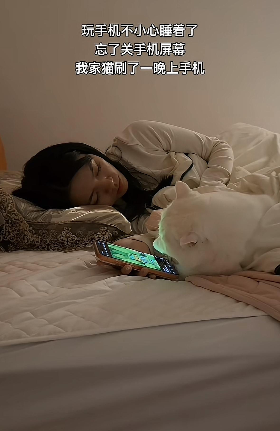 冬日生活打卡季当你忘记关手机，你的猫会做什么？这个猫真会玩趁它主人睡着了，手机没