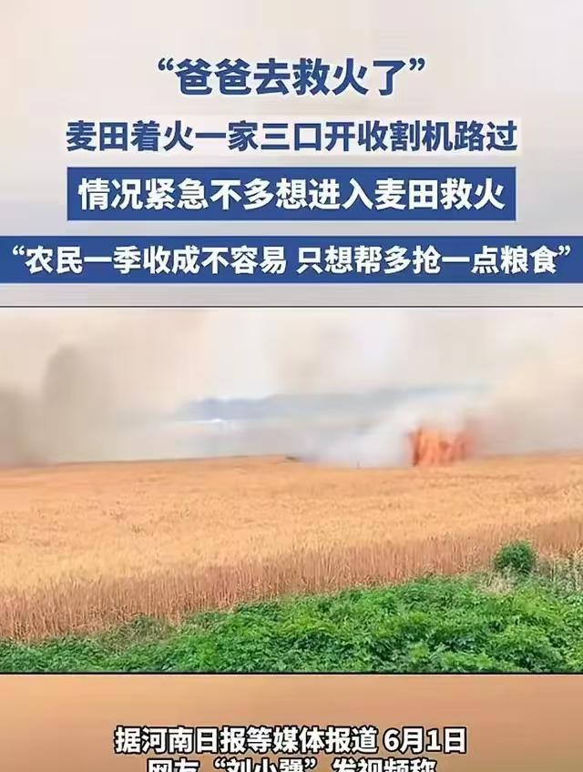 6月2日，“这个男人火到央视了！”山东20亩小麦起火，男子冒死开收割机抢收！不料