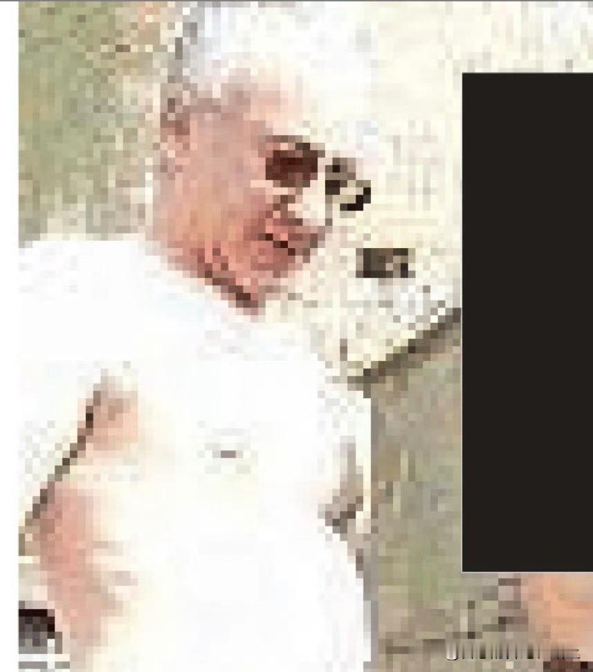 爱泼斯坦档案中出现的这个人，你觉得他像谁？[doge][doge][doge]网上正在热