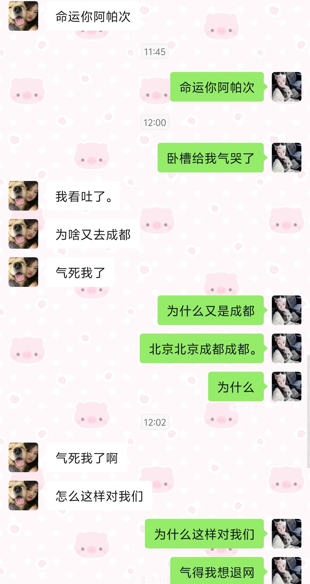 多多见面是这样的吗
