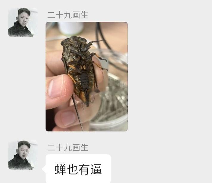 太逆天了……​​​