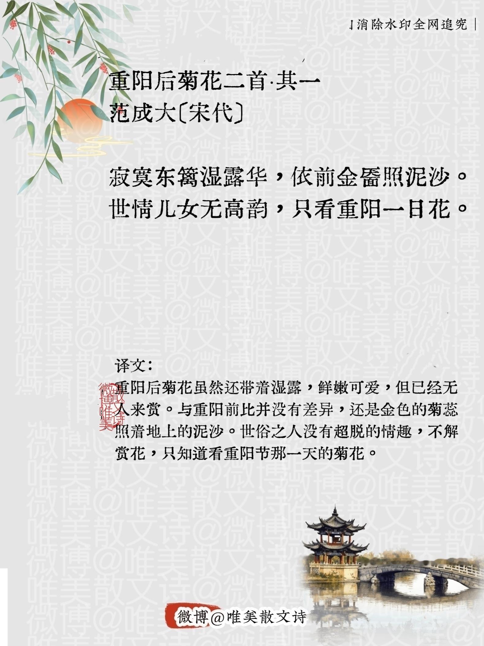 “重阳后菊花二首其一｜宋代。”每天一首古诗词腹有诗书气自华​​​