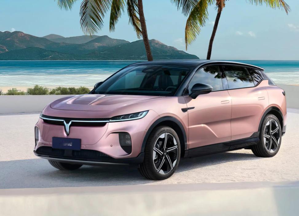 【岚图知音被曝“刚提车不久又降价”？】日前，有车友向车界反馈其新买不久的岚图知音