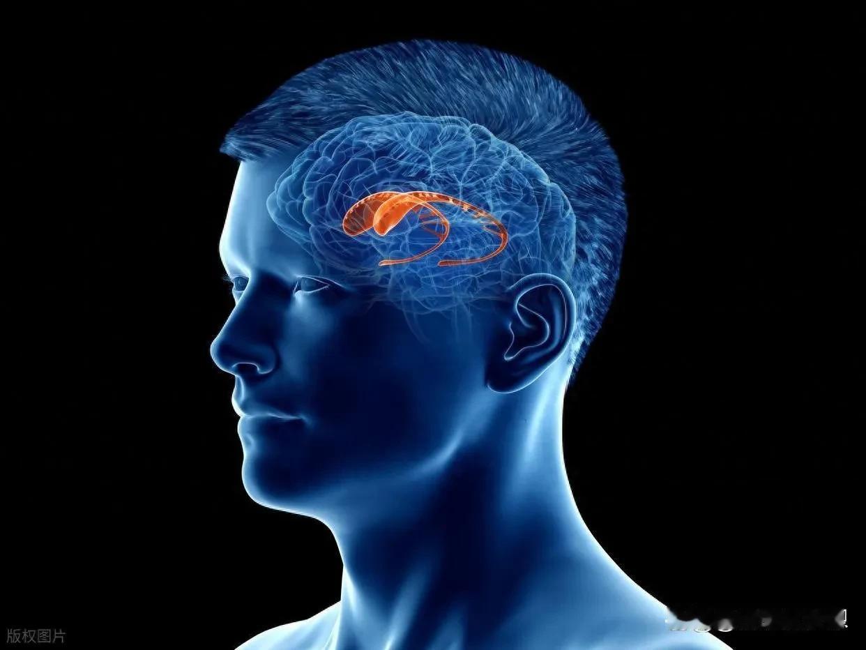 人类是否永远无法得知宇宙的真相?人类或许永远无法完全洞悉宇宙的终极真相。人类的认