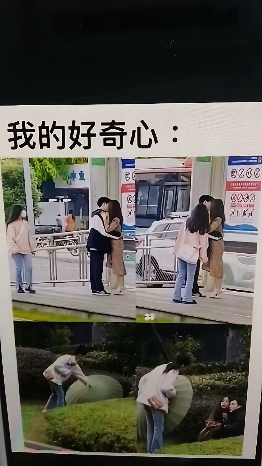 谁能忍住不看呢我请问