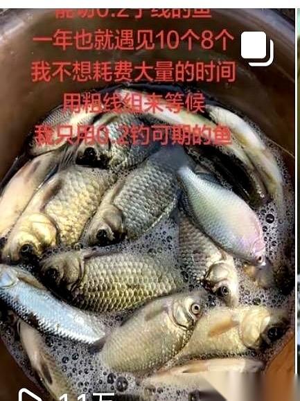 钓鱼圈有个“圣经”：子线越短，越灵敏。你要是敢用超过五十公分的线，旁边的大爷能把
