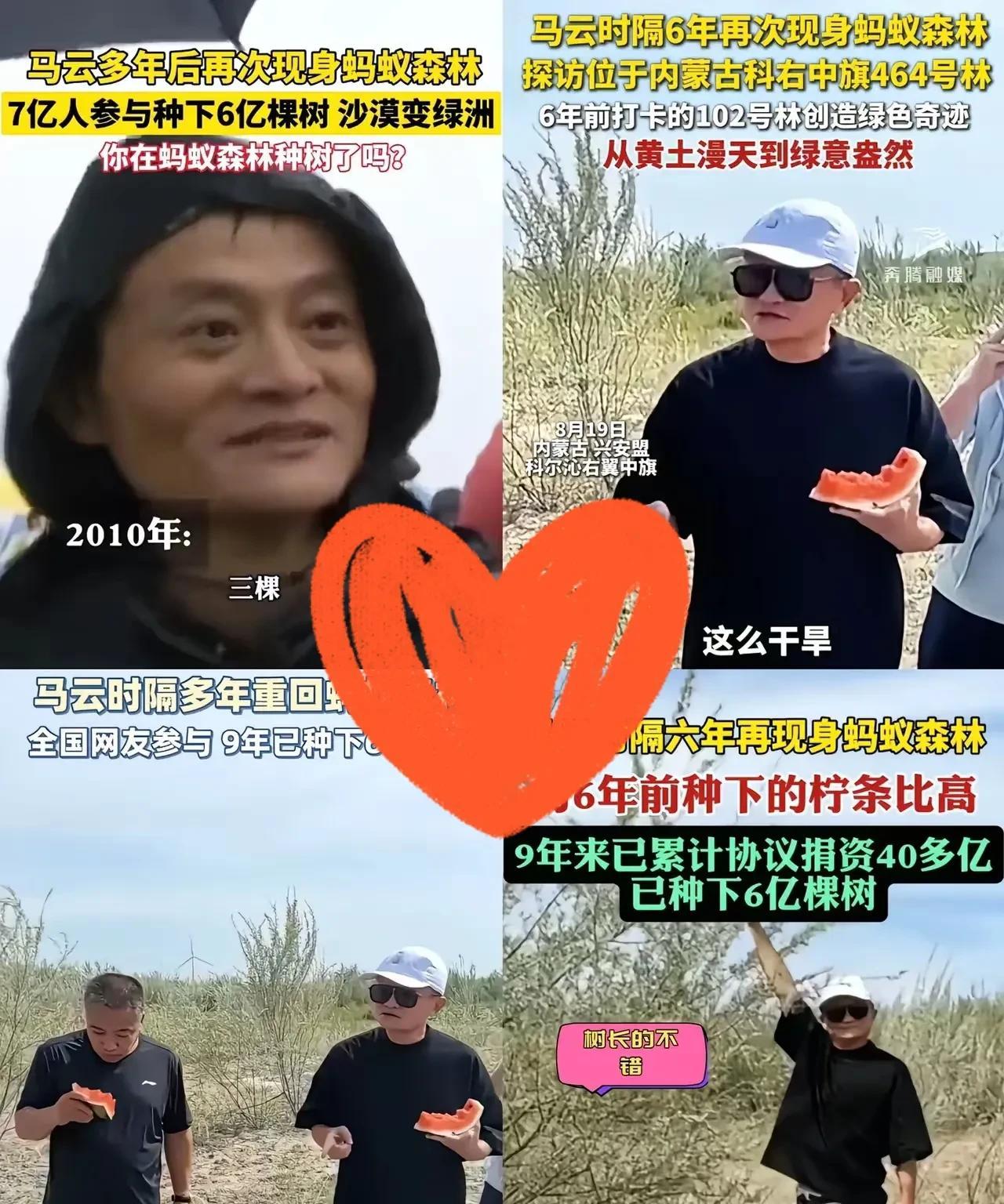 蚂蚁森林成效显著马云八年前种下的那一棵棵虚拟树苗，如今取得的成果相当惊人。6亿