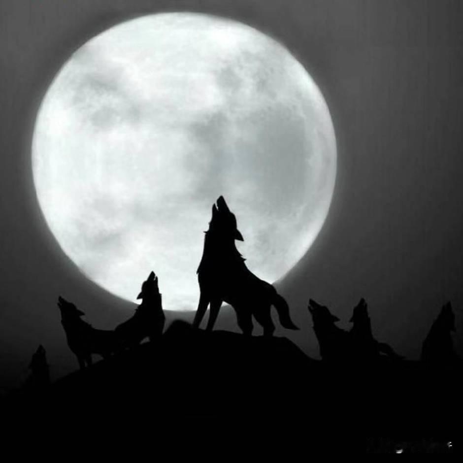 这场采访，其实揭开了一个长期被台湾舆论刻意回避的“黑箱”。赵少康采访前陆军副