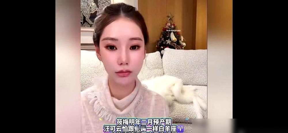 刷到个事儿，差点没把我笑死。​汪小菲说，他有点担心，因为他老婆的预产期在明年