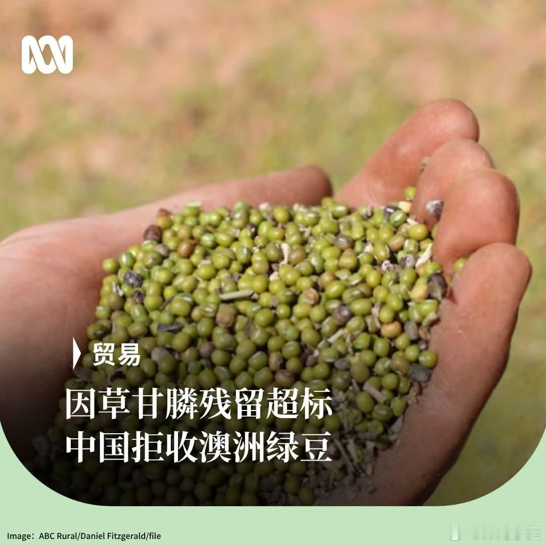 澳大利亚输华绿豆农药超标五倍！澳媒ABC称，中国以草甘膦农药残留量超出允许限值五