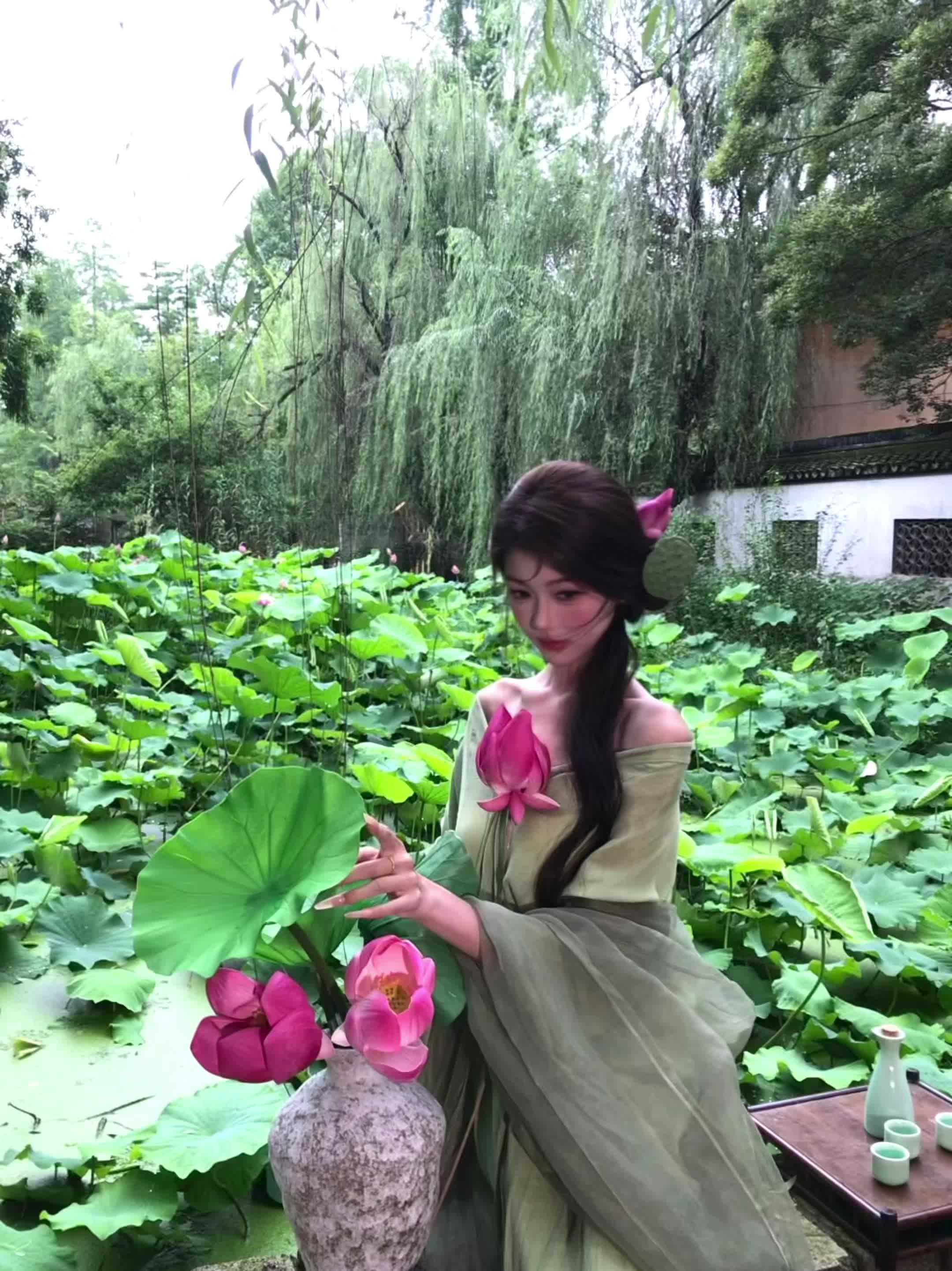 又是一年荷花季🪷