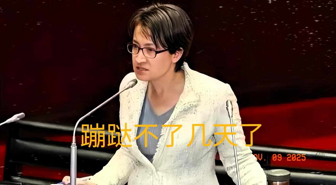 死亡路上最后的绝望叫嚣。“台独”头面人物萧美琴，分明已是“秋后的蚂蚱蹦哒不了几天