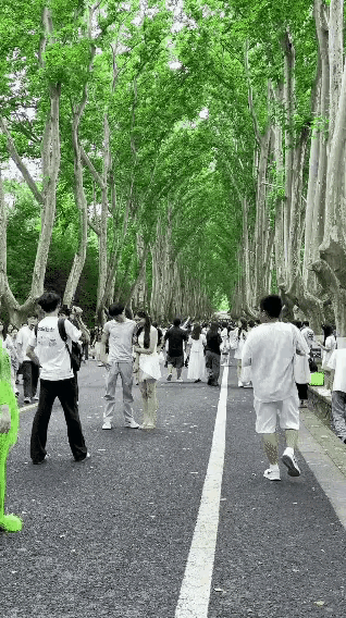 绿裙美女为了火起来，也是拼了，先不说在大庭广众之下这个着装好不好看，单看这个“舞