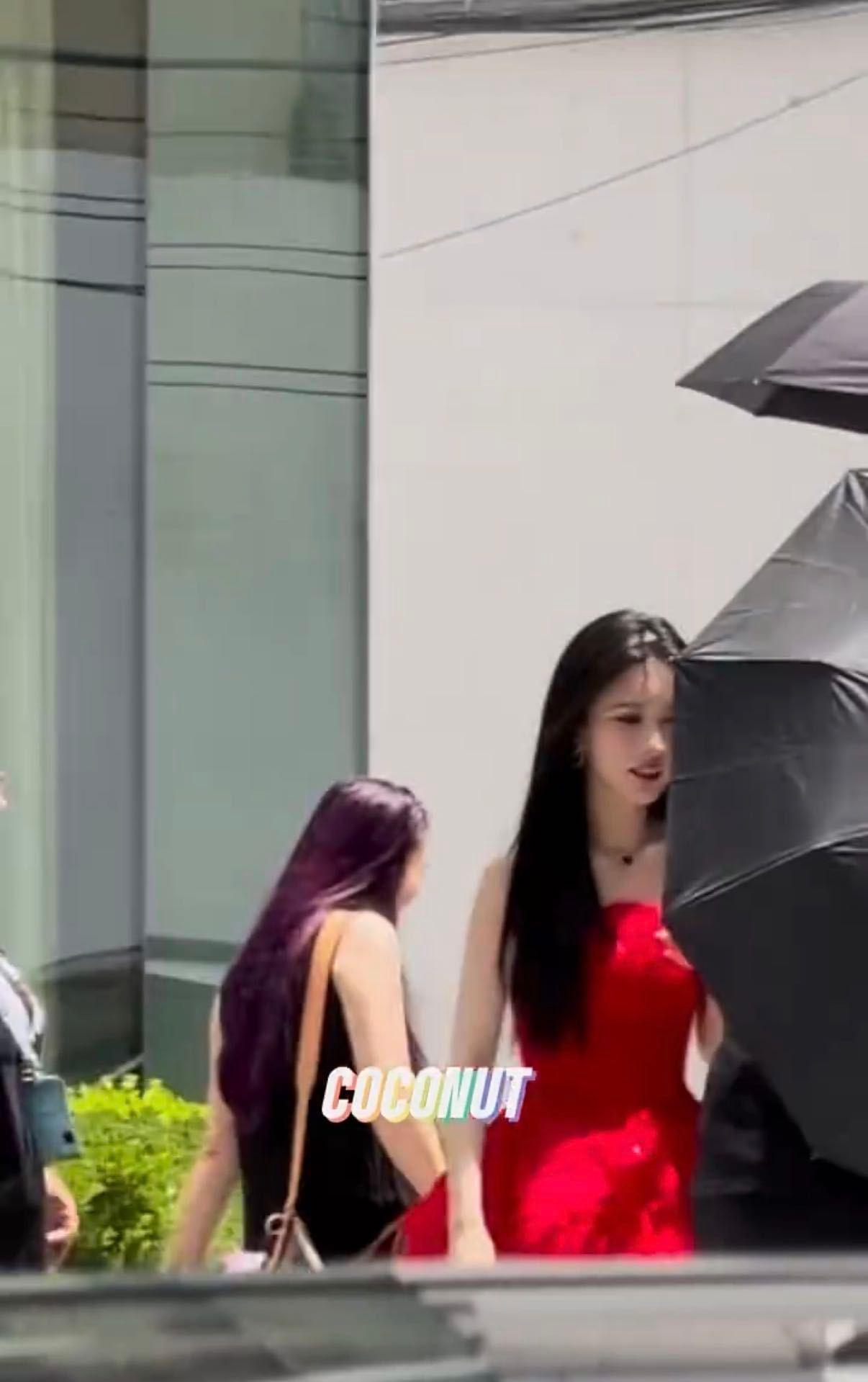 孟子义上了我给她报的网课孟姐营业态度永远满分，每一次剧宣都尽心尽力，物料更新勤快