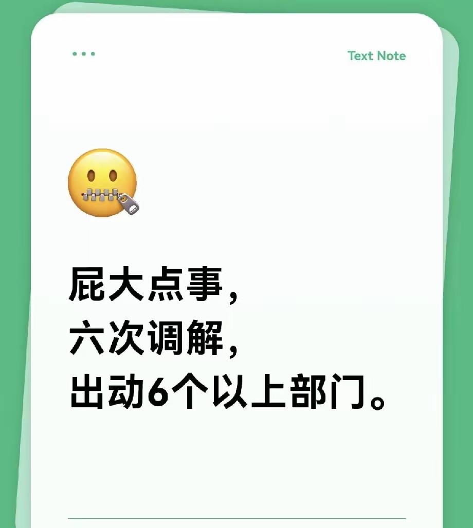 屁点的事，前前后后开展了六轮调解，足足六个以上的职能部门投入人力跟进处置，大量本