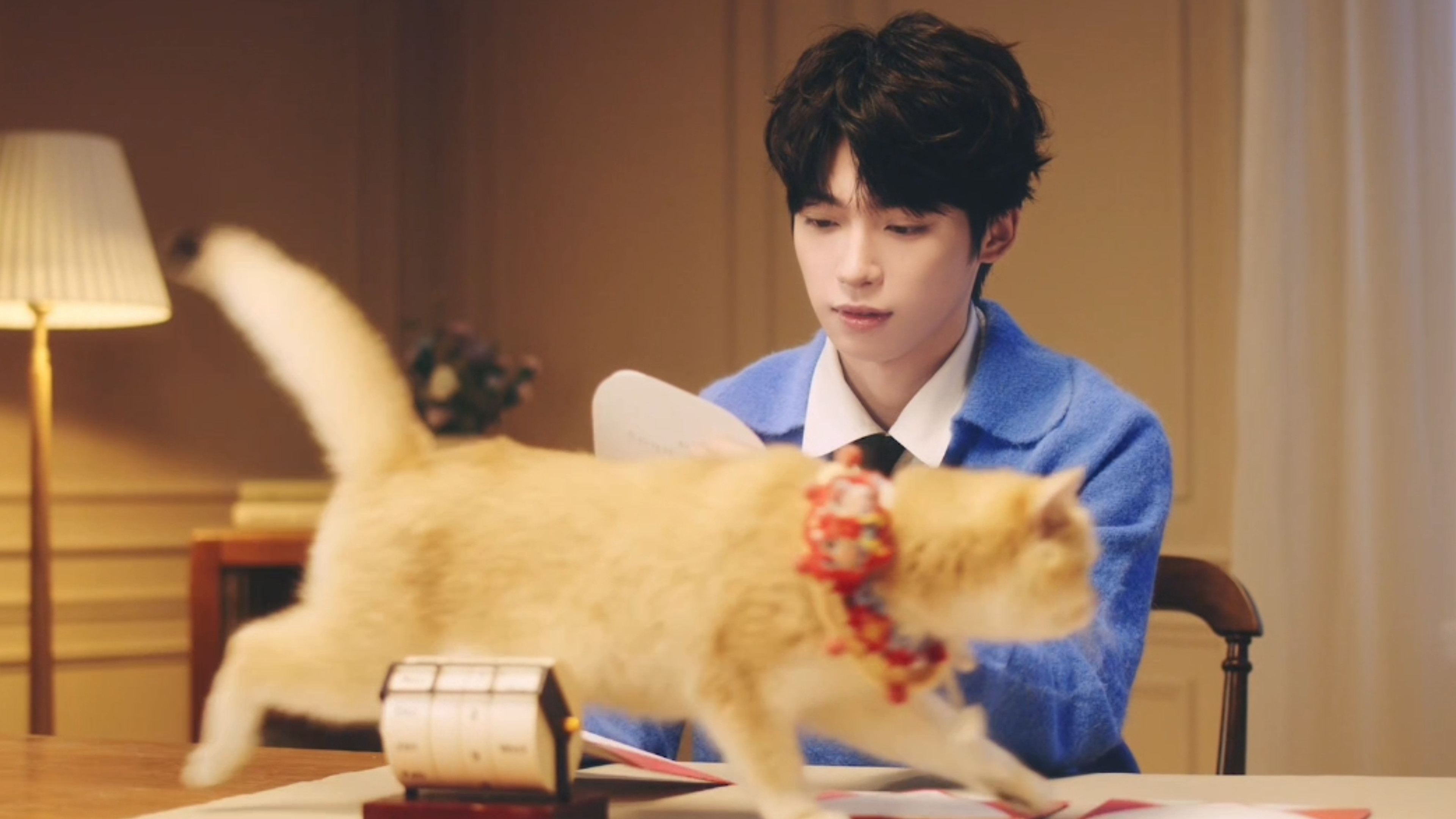 梓渝和猫猫同框好治愈 谁懂这个温暖系look的卷毛小梓渝和小猫同框啊！可爱值真的