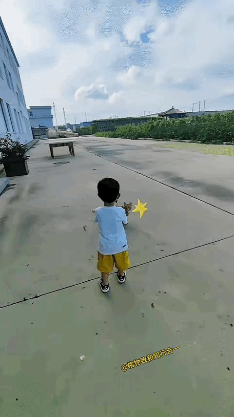 这只猫咪好会演戏呀，与小主人配合默契，枪一响立刻摔倒在地上。看把小家伙给高兴得。