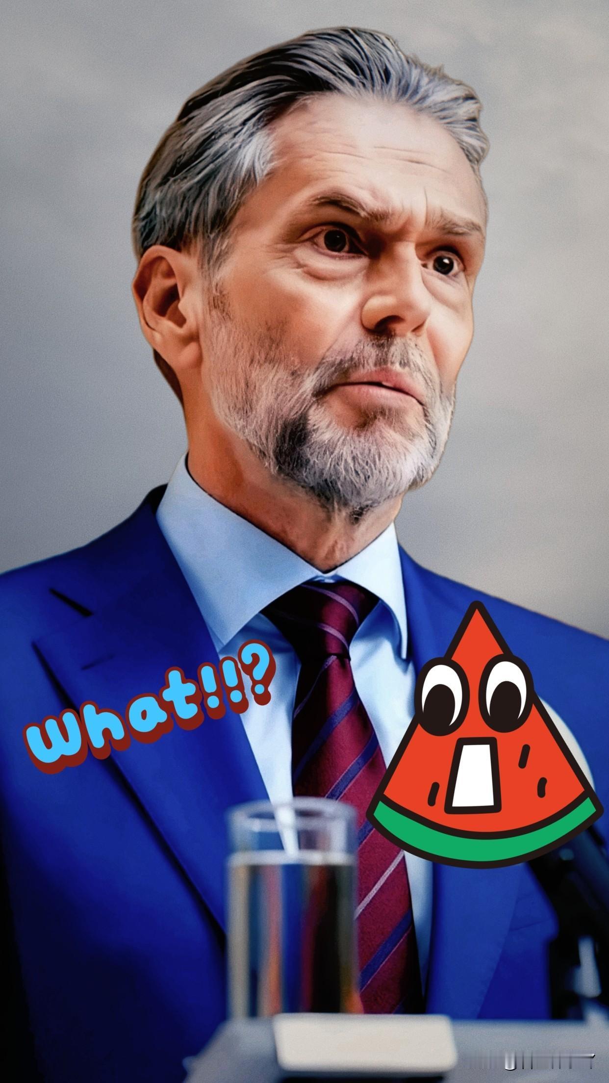 荷兰强硬态度让不少国人感到失望10月21日，荷兰经济大臣卡雷曼斯的最新表态