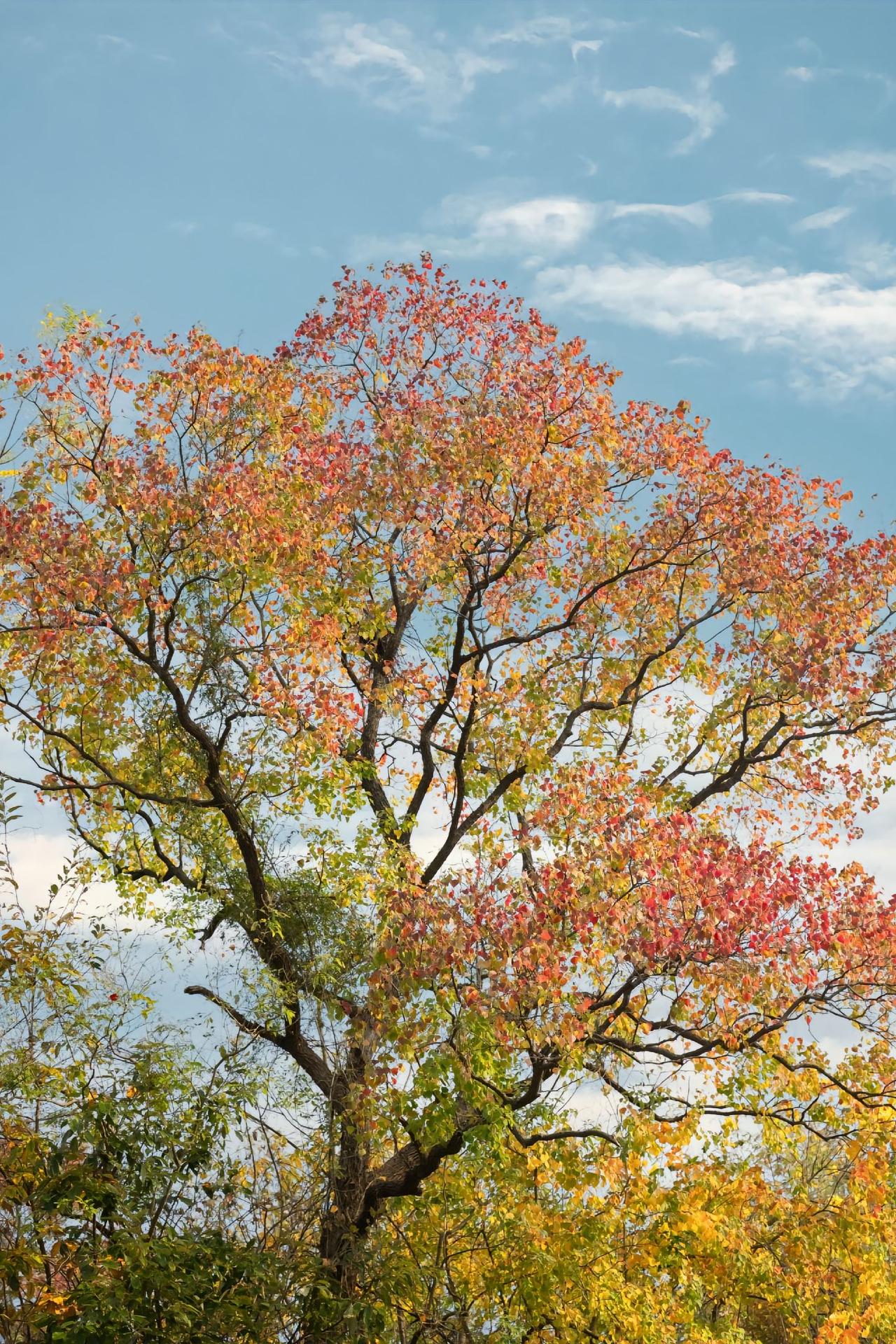 很多时候，家长没办法为孩子创设合适的环境，最终耽误了孩子。首先，你或许没时间管教