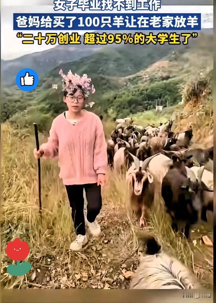 女大学生毕业投资20万养羊🐑河北这姑娘的经历，简直给迷茫的毕业生上了生动一