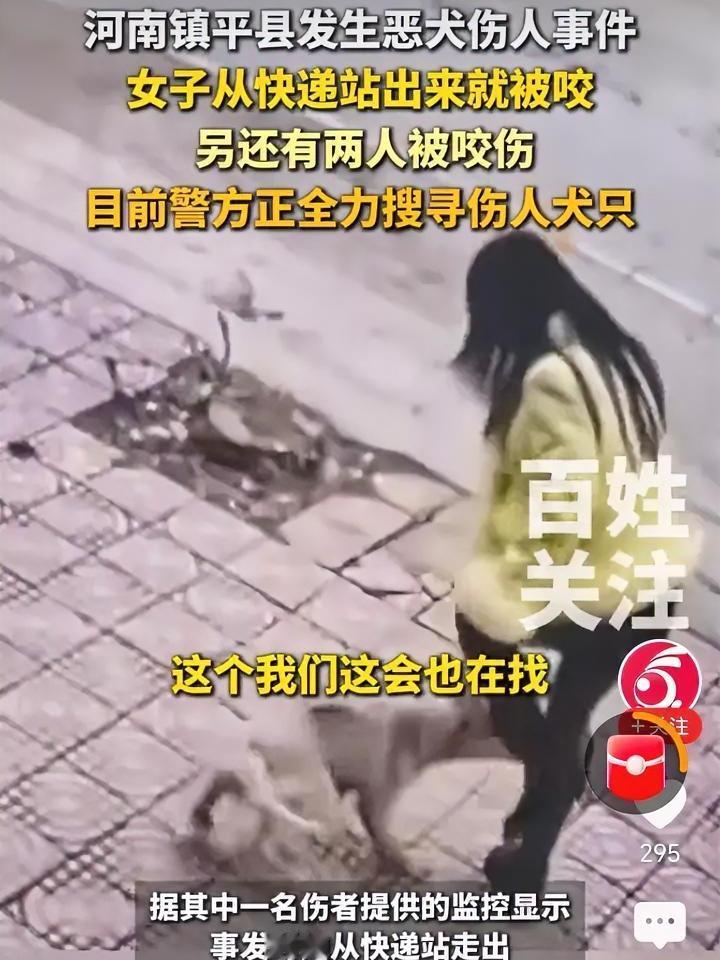 河南南阳恶犬连续伤人！城市养狗底线失守，公共安全谁来守护？2月23日，河