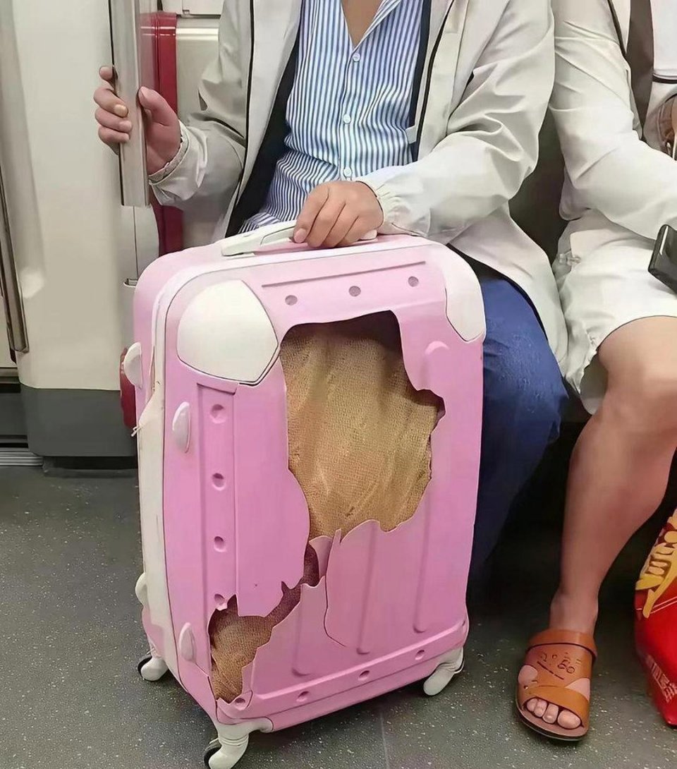 还以为是破箱子呢！