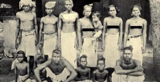 听说过“乳房税”吗？在印度，就有过这样奇葩的税务制度，低种姓妇女若想遮住自己乳房