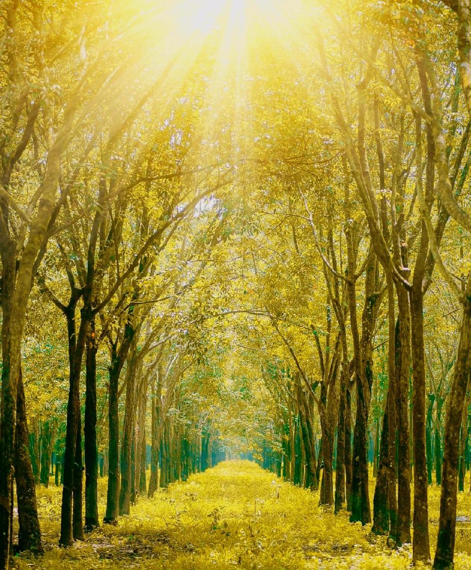 刘震云：）刘震云对女儿说：“心软是病，情深致命，不要去扶跪着的人。人性很