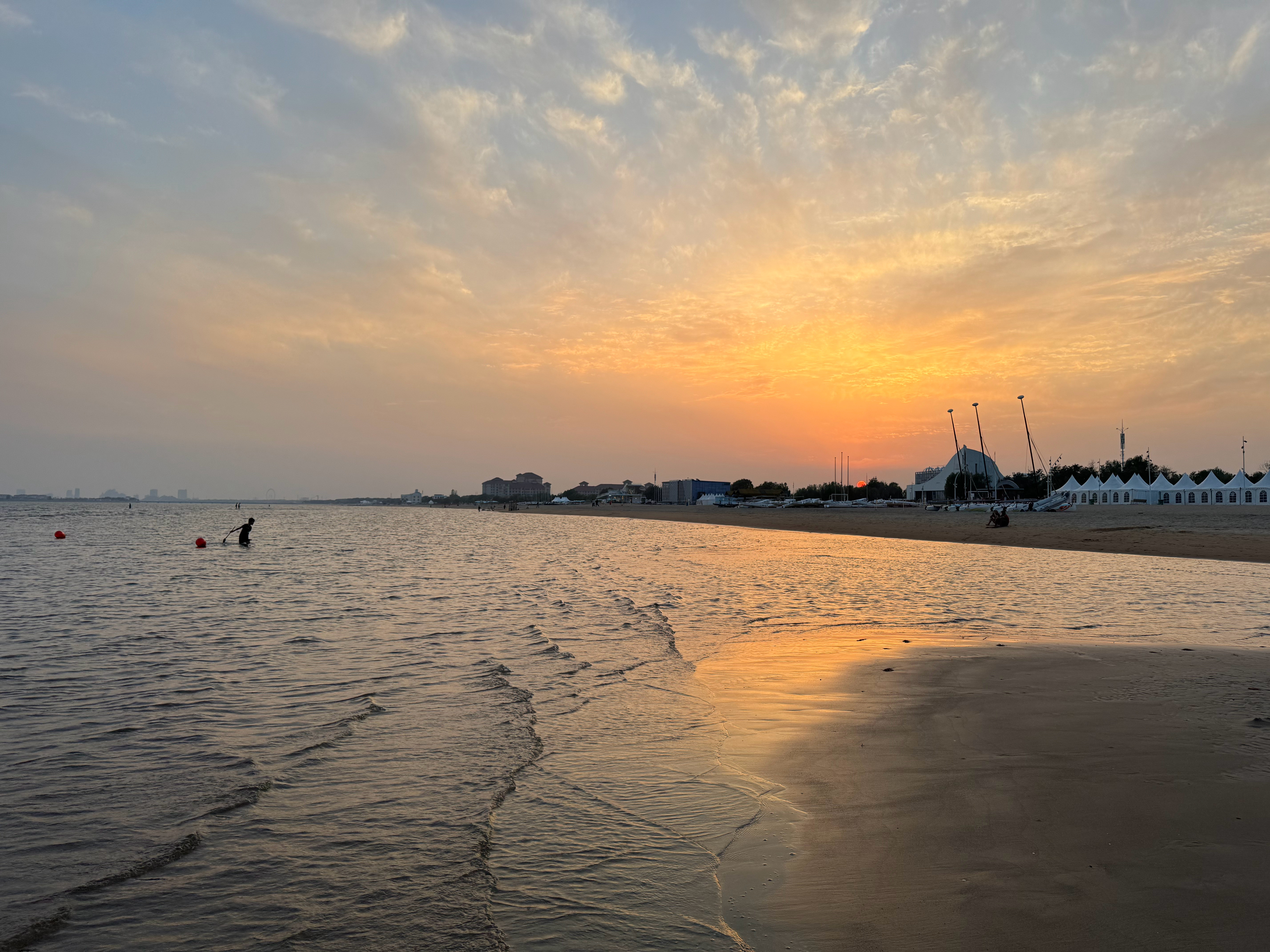 年底总结是没有不喜欢的海边确诊为海鸟