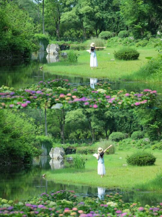 5.9实拍❗️武汉有水上莫奈油画绣球啦附机位